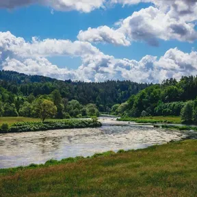 RDC variados mi radio tu radio