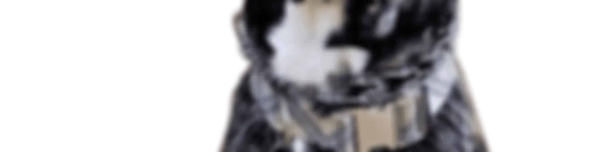 Danes Delight by Yeti