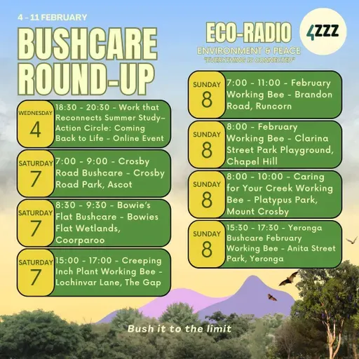 Rebecca Appleton - Bat Conservation and Rescue Queensland