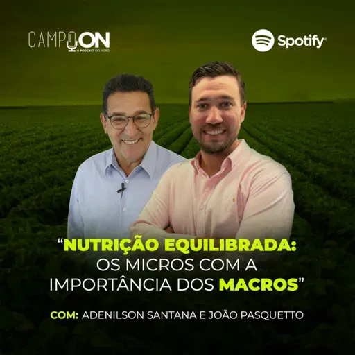 Nutrição equilibrada: Os micros com a importância dos macros