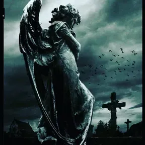 Universo Dark