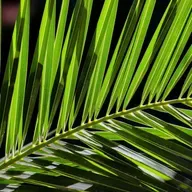 O EVANGELHO SEGUNDO O ESPIRITISMO