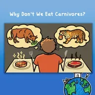 Why Don't We Eat Carnivores?