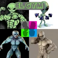El GYM