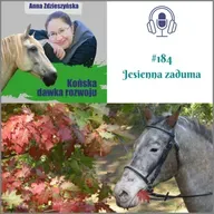 #184 Jesienna zaduma
