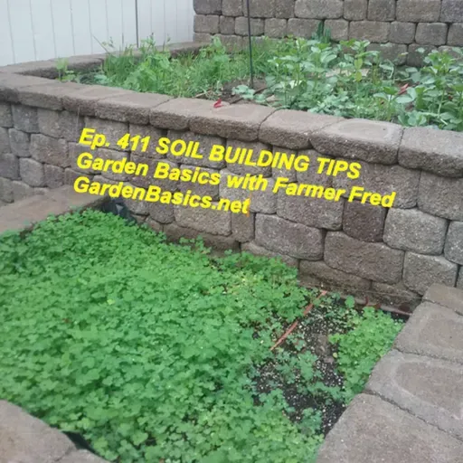 411 Soil Building Tips