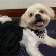 MMK 2025-12-17 06:30