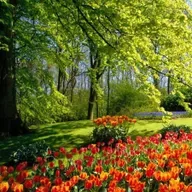 Музыка весны.