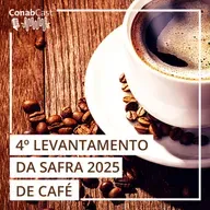 Produção de café em 2025 é estimada em 56,5 milhões de sacas, terceira maior já registrada no país