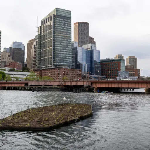 Floating wetlands bring back Boston's natural landscape lost to development