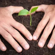 E56 - Ser buena tierra