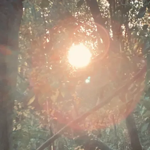 Morning and evening practice