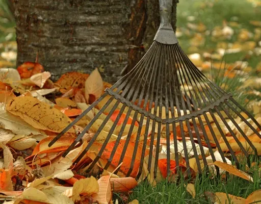 Vēlā rudens dārza darbi: laiks ir silts un zāle vēl jāpļauj