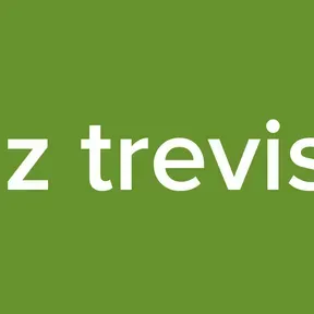 luiz trevisol