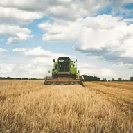 En Clave Rural: Los fenómenos atmosféricos sucedidos arrasan los cultivos