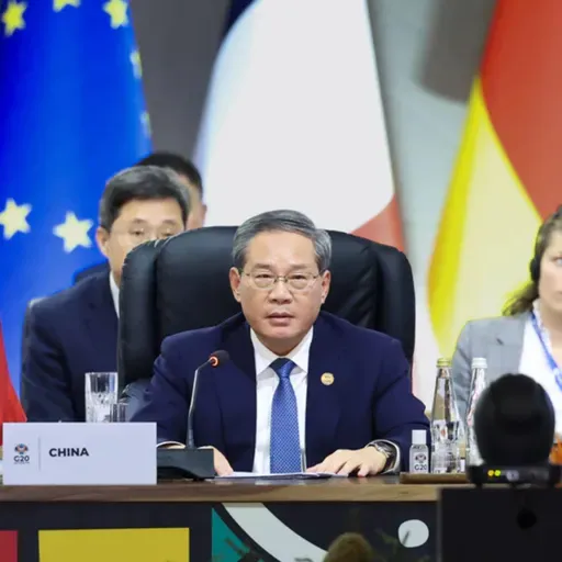 China urges stronger G20 collaboration on environment, green transition, food security