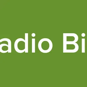 Radio Bizi