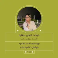 2655.درخت انجیر معابد (قسمت چهل و ششم)