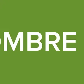 EL HOMBRE VIEJO