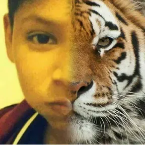 sampo latino