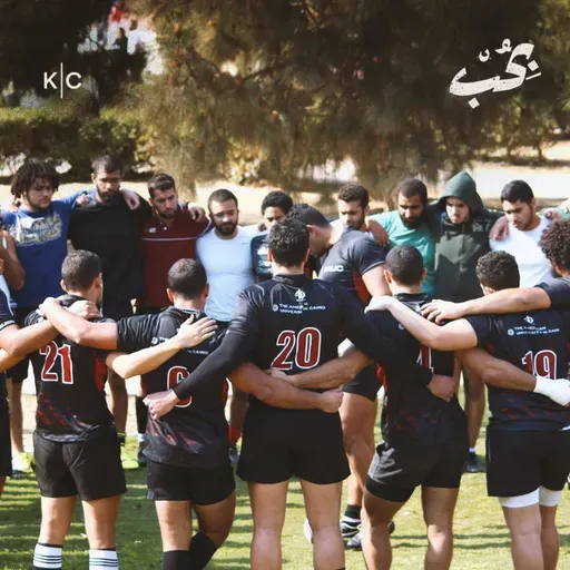 أصدقاء تيفا