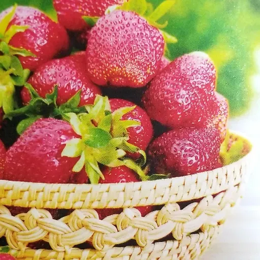 Besos de Terciopelo - Amores infieles. Conduce: Diosma Patricia Davis * Argentina por RAO/México.