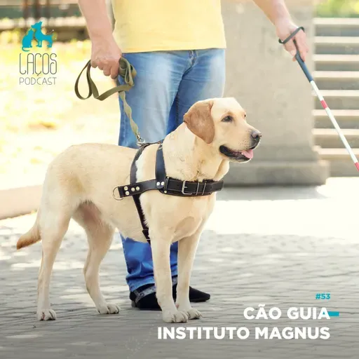 #53: Cão Guia - Instituto Magnus