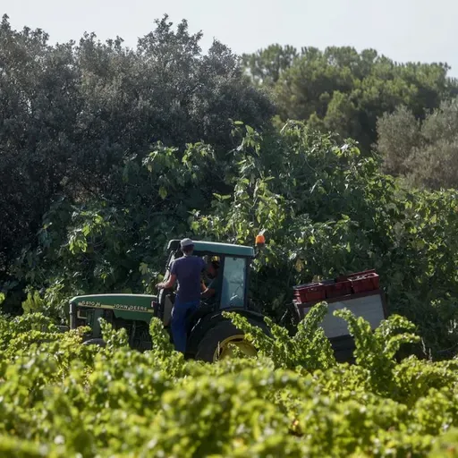 Economía en Andaluz 31 de diciembre de 2025