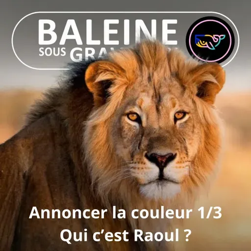S07E166 Annoncer SA couleur 1/3 : Qui c'est Raoul ?