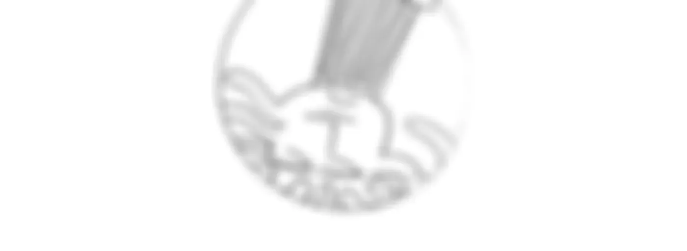 Kültürel Miras Ve Koruma: Kim İçin? Ne İçin?