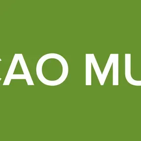 ESTACAO MUSICAL