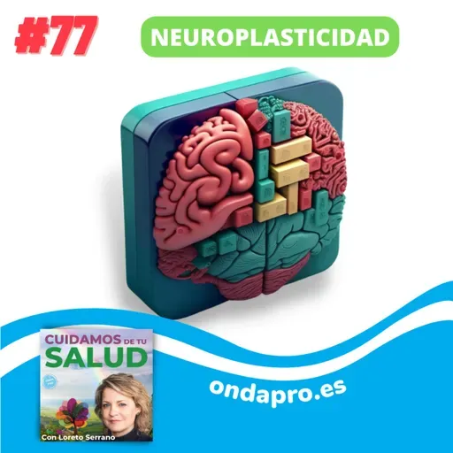 Cuidamos de tu Salud - Neuroplasticidad