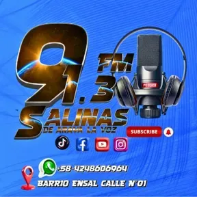 SALINAS 91.3 FM DE ARAYA LA VOZ