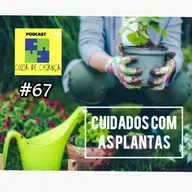 #67 cuidados com as plantas