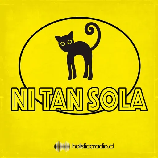 T3 Capítulo 02: Designaciones erróneas