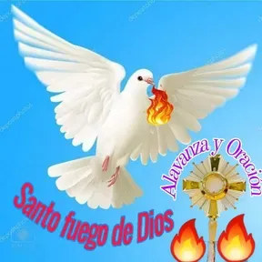RADIO SANTO FUEGO DE DIOS FM