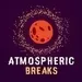 RadioSpinner - Atmospheric Breaks