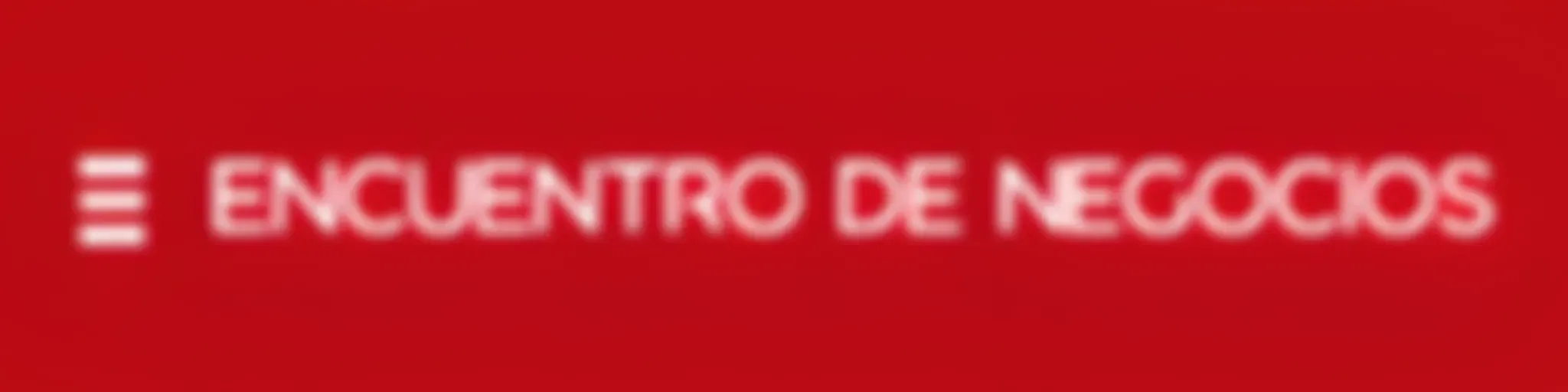 Encuentro de Negocios