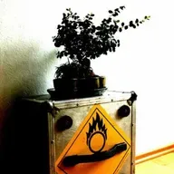 Mrs. M. On Fire [fouling around construction process.........yaaaaaaaawn]