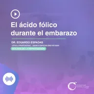 E146 - El ácido fólico durante el embarazo
