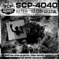 SCP-4040: At the Bottom of a Bottomless Pit