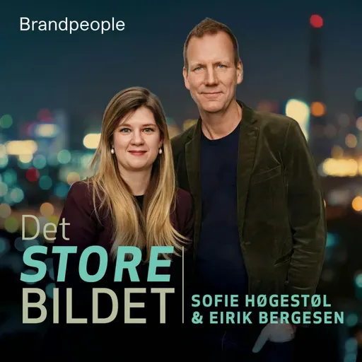 361. Er tek en trussel for demokratiet?