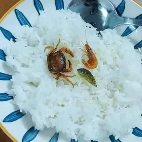 Dyfhky