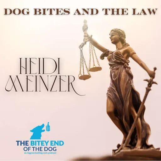 Your Dog Bit Someone—Now What Happens? With Attorney Heidi Meinzer