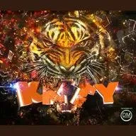 K.K.T.Y. Tiger Country Radio