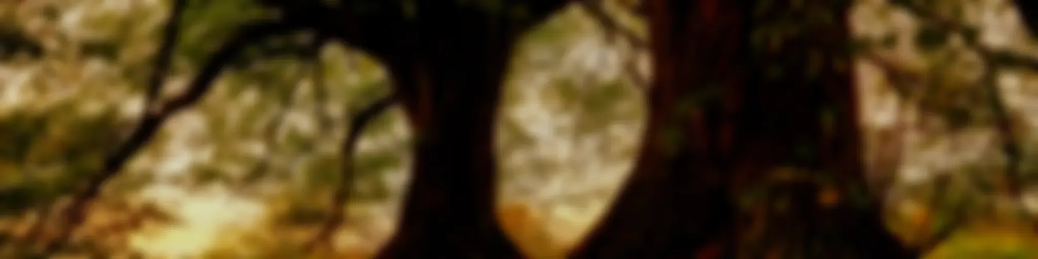 CIBL 101.5 FM : L'Effet Durable