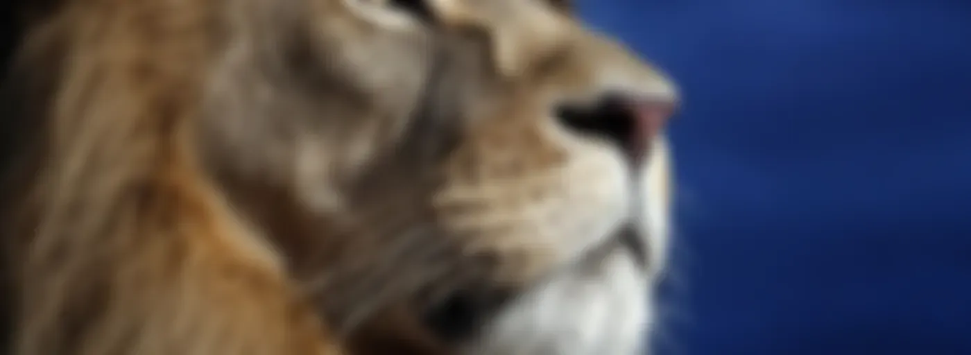 Masculine Mindset | Affirmations for Men