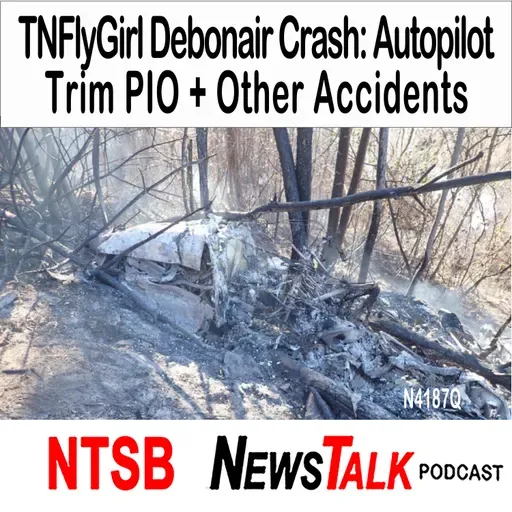 TNFlyGirl Debonair Crash: Autopilot/Trim PIO + Icing & Night IMC
