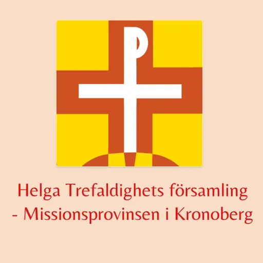 2025-11-09 Simeon Appell leder högmässa tjugoförsta söndagen efter trefaldighet