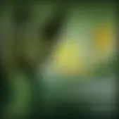 reforma.com - Mr. Fórmula 1